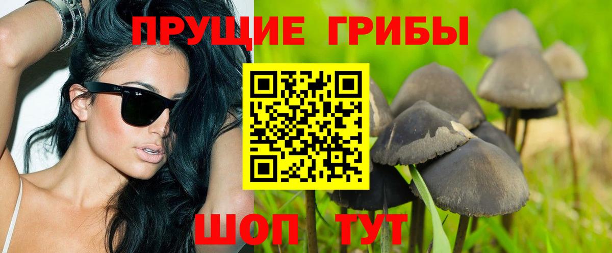 Ялуторовск  Галлюциногенные грибы Psilocybe  закладка  Псилоцибиновые грибы GOLDEN TEACHER  Вход с VPN 
